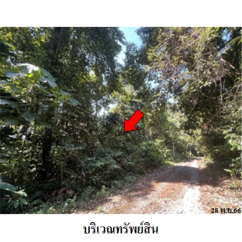 ที่ดินเปล่า กระทิง คันทรี รีสอร์ท จันทบุรี เขาคิชฌกูฏ พลวง 460000