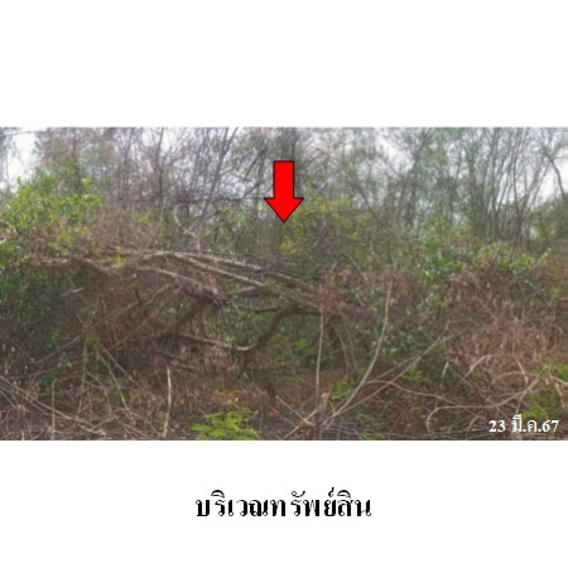 ที่ดินเปล่า ลำปาง เมืองลำปาง พิชัย 121000