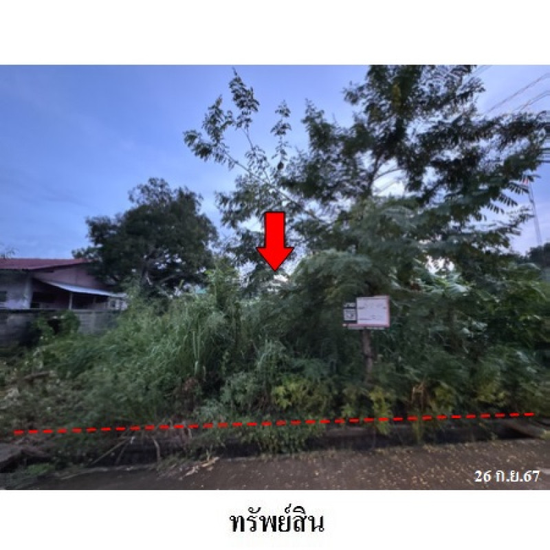 ที่ดินเปล่า ชลบุรี บางละมุง ห้วยใหญ่ 1749000