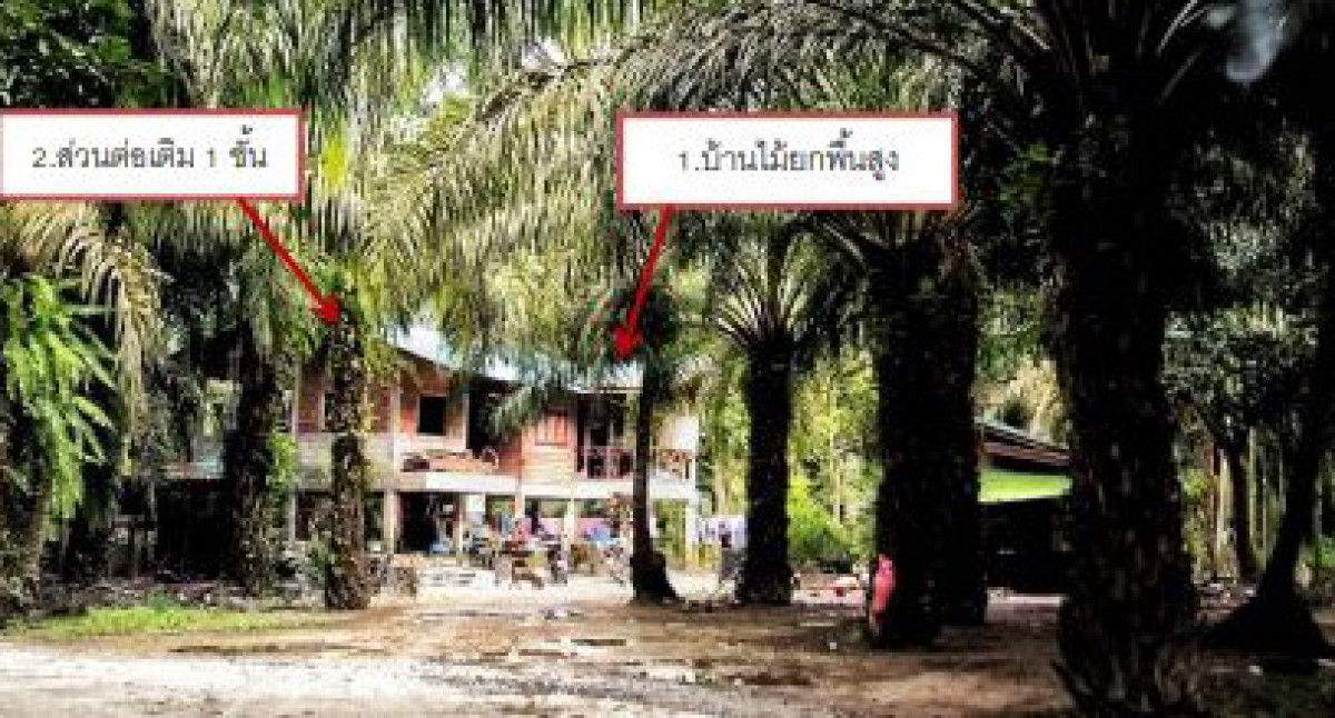 บ้านเดี่ยว นครศรีธรรมราช สิชล ทุ่งปรัง 699010