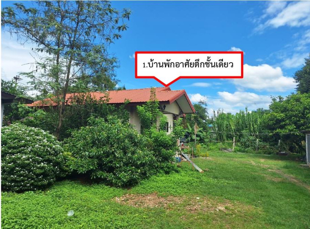Single house Uthai Thani Ban Rai Thap Luang 393330