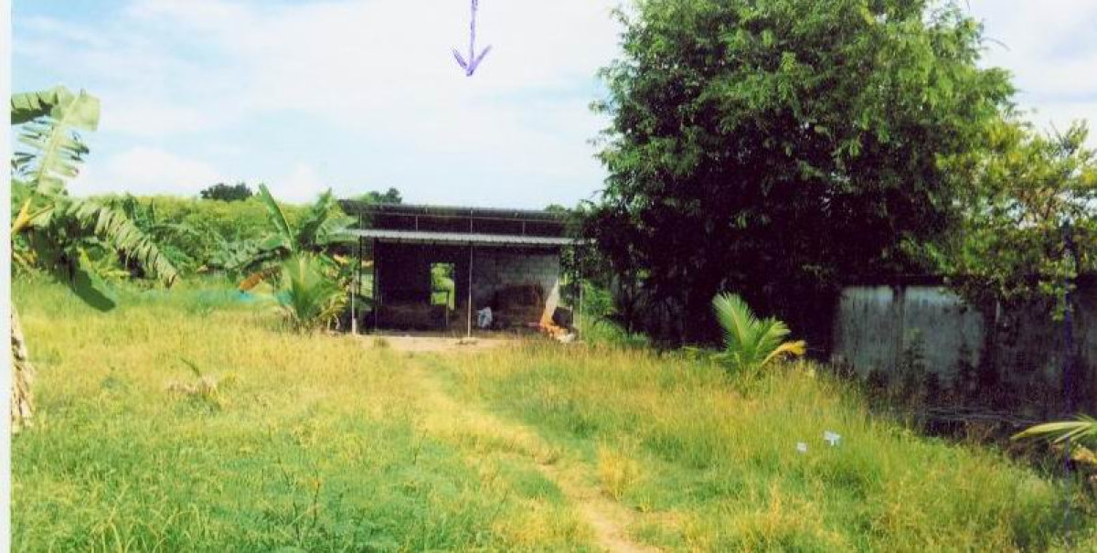 บ้านเดี่ยว นครศรีธรรมราช ชะอวด เขาพระทอง 431040