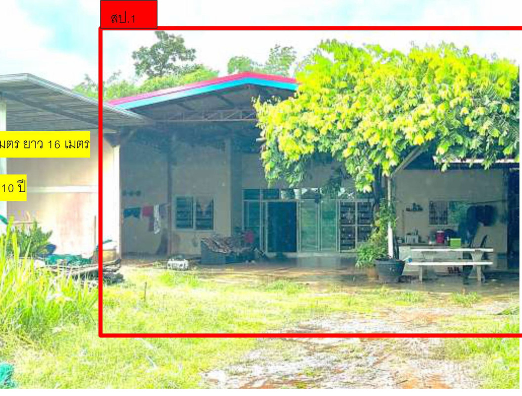 บ้านเดี่ยว มหาสารคาม เชียงยืน นาทอง 1464820