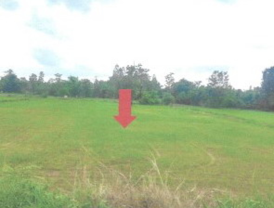 Residential land/lot Udon Thani Ban Phue Champa Mok 223600