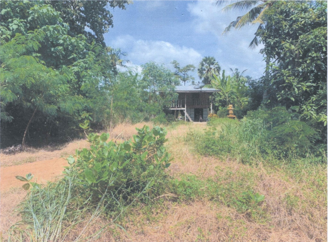 บ้านเดี่ยว พิจิตร ดงเจริญ สำนักขุนเณร 1380940