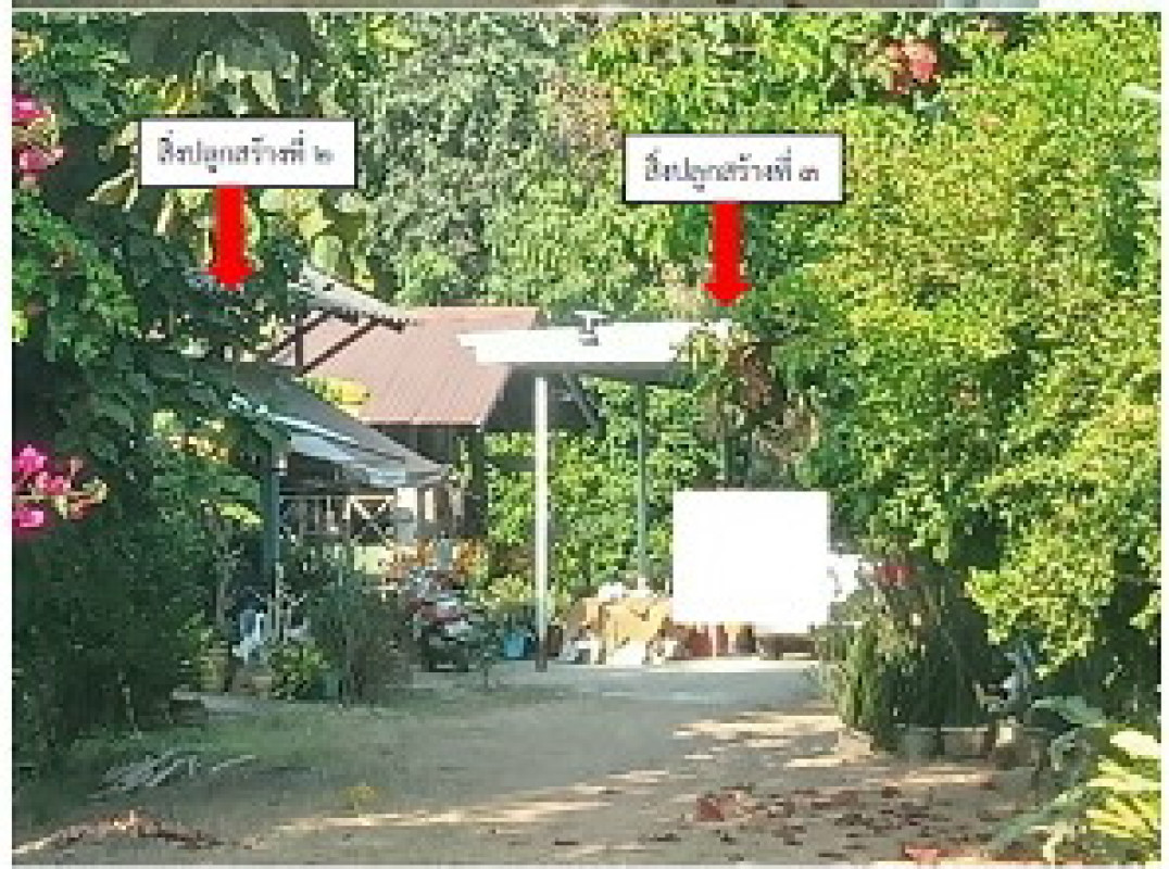บ้านเดี่ยว ขอนแก่น เมืองขอนแก่น โนนท่อน 1567600