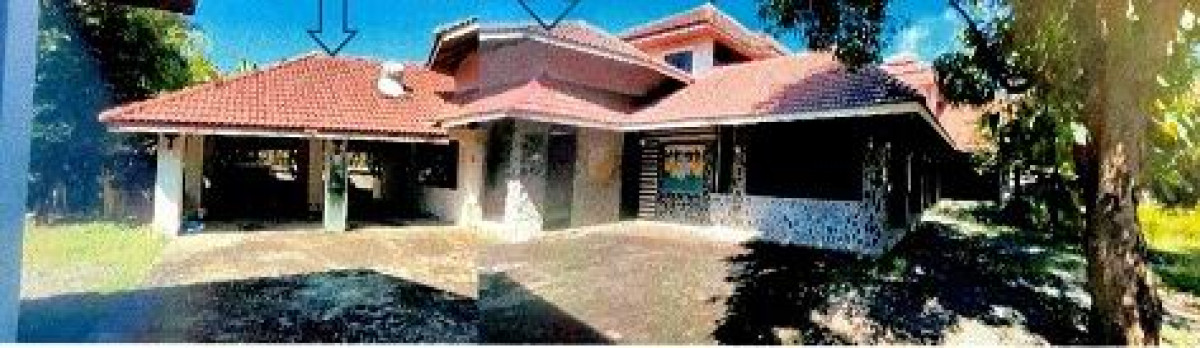 บ้านเดี่ยว สุรินทร์ เมืองสุรินทร์ นาบัว 2992680