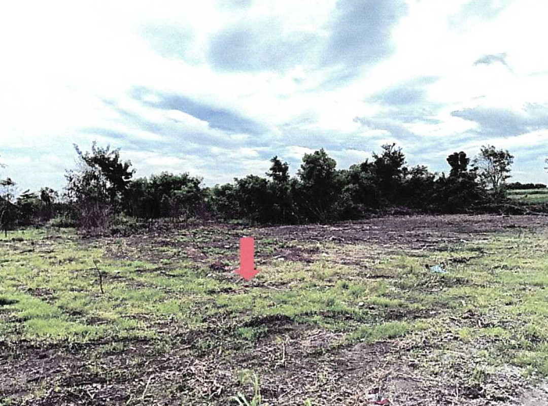 ที่ดินเปล่า ลพบุรี ชัยบาดาล นิคมลำนารายณ์ 264000
