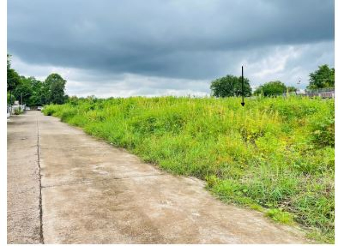 ที่ดินเปล่า อุดรธานี เมืองอุดรธานี หนองบัว 4636000