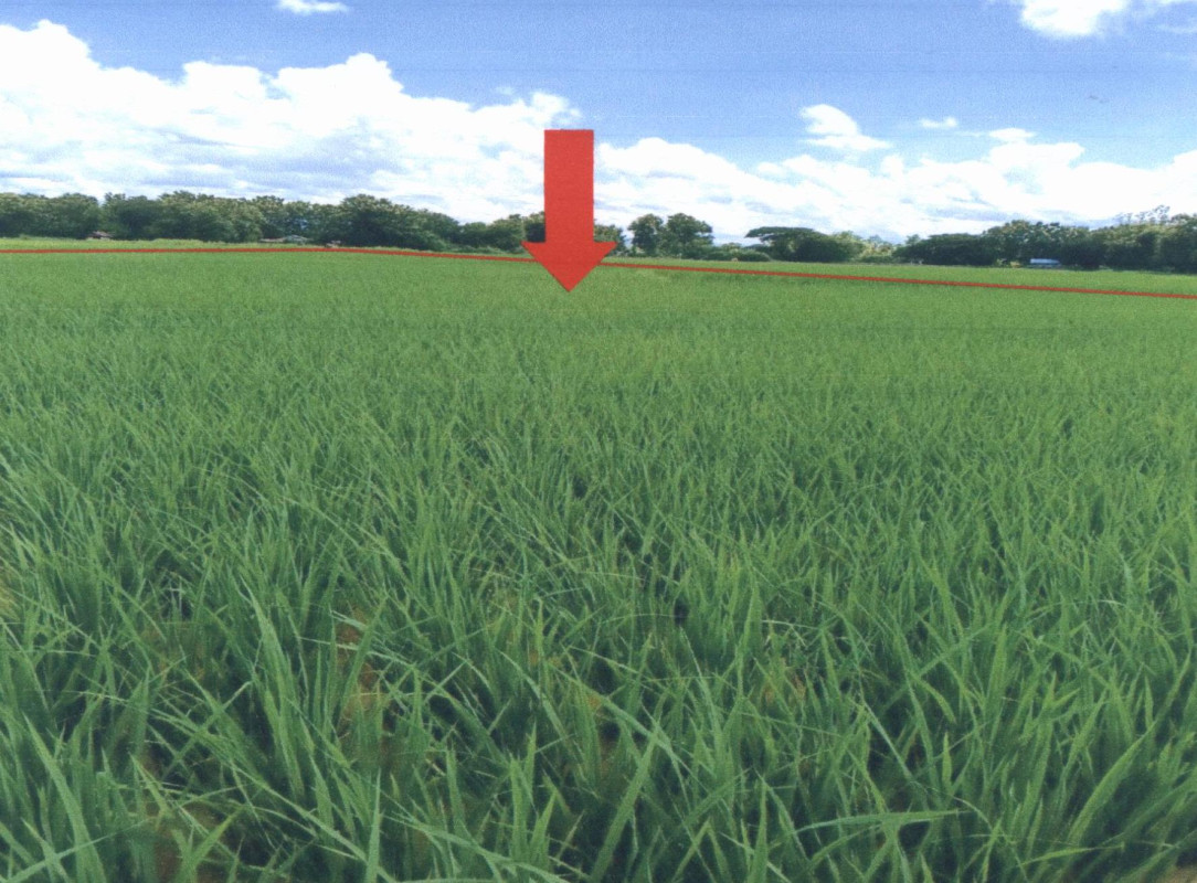 ที่ดินเปล่า แพร่ เมืองแพร่ ป่าแมต 53500