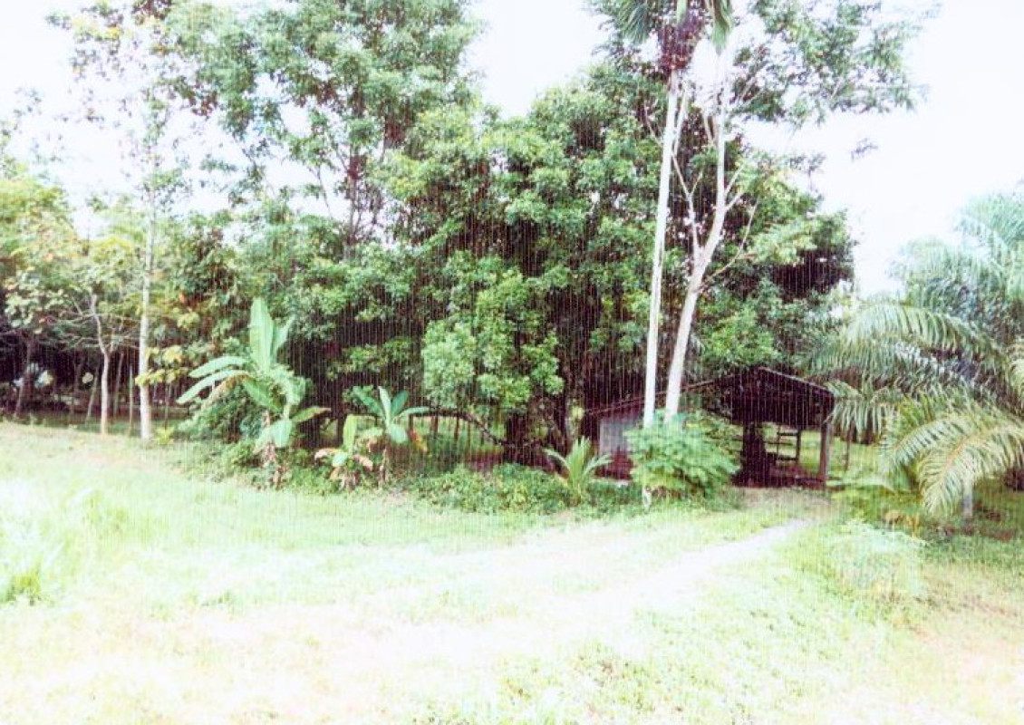 บ้านเดี่ยว นครศรีธรรมราช ชะอวด เกาะขันธ์ 2063642