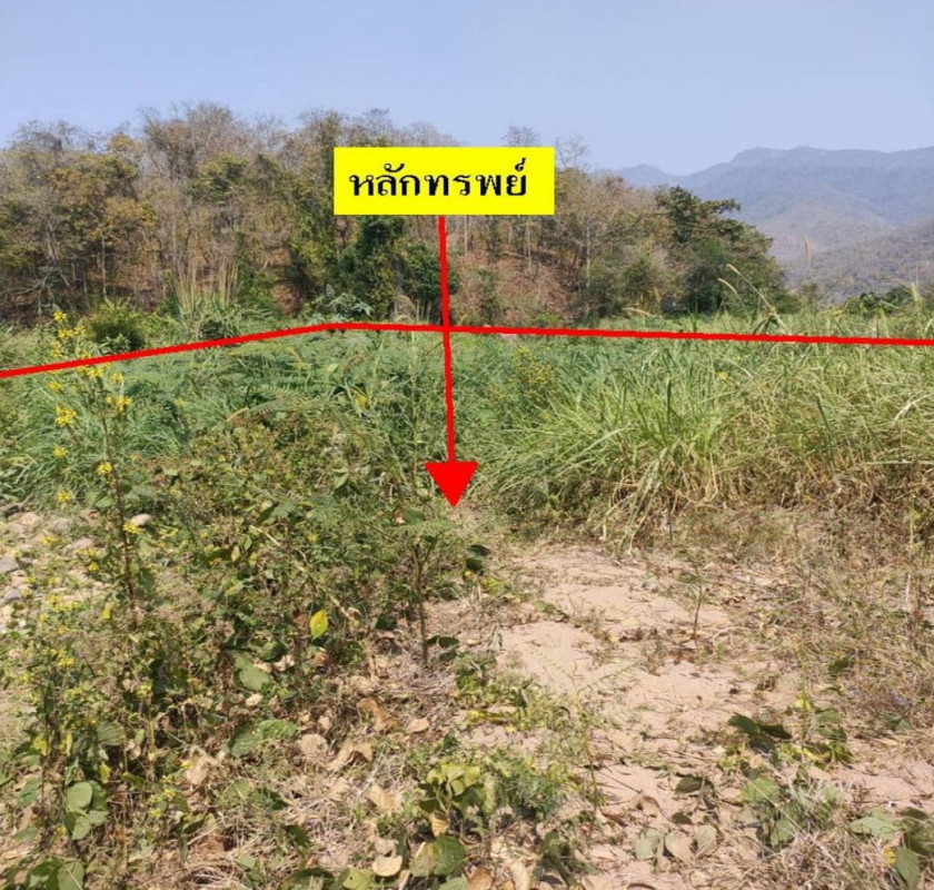 Residential land/lot Mae Hong Son Mueang Mae Hong Son Pha Bong 677870