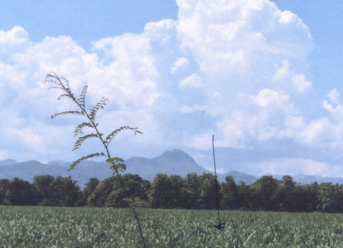 ที่ดินเปล่า แพร่ เมืองแพร่ เหมืองหม้อ 30580