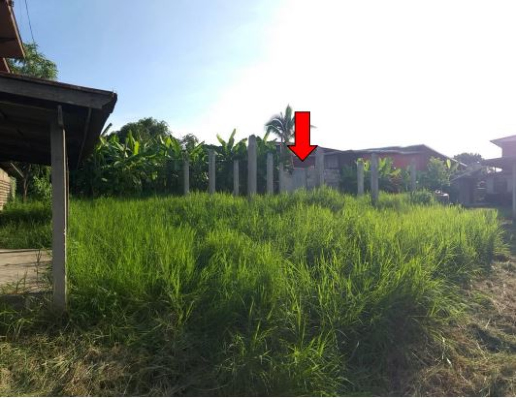 ที่ดินเปล่า ขอนแก่น บ้านฝาง โนนฆ้อง 61000