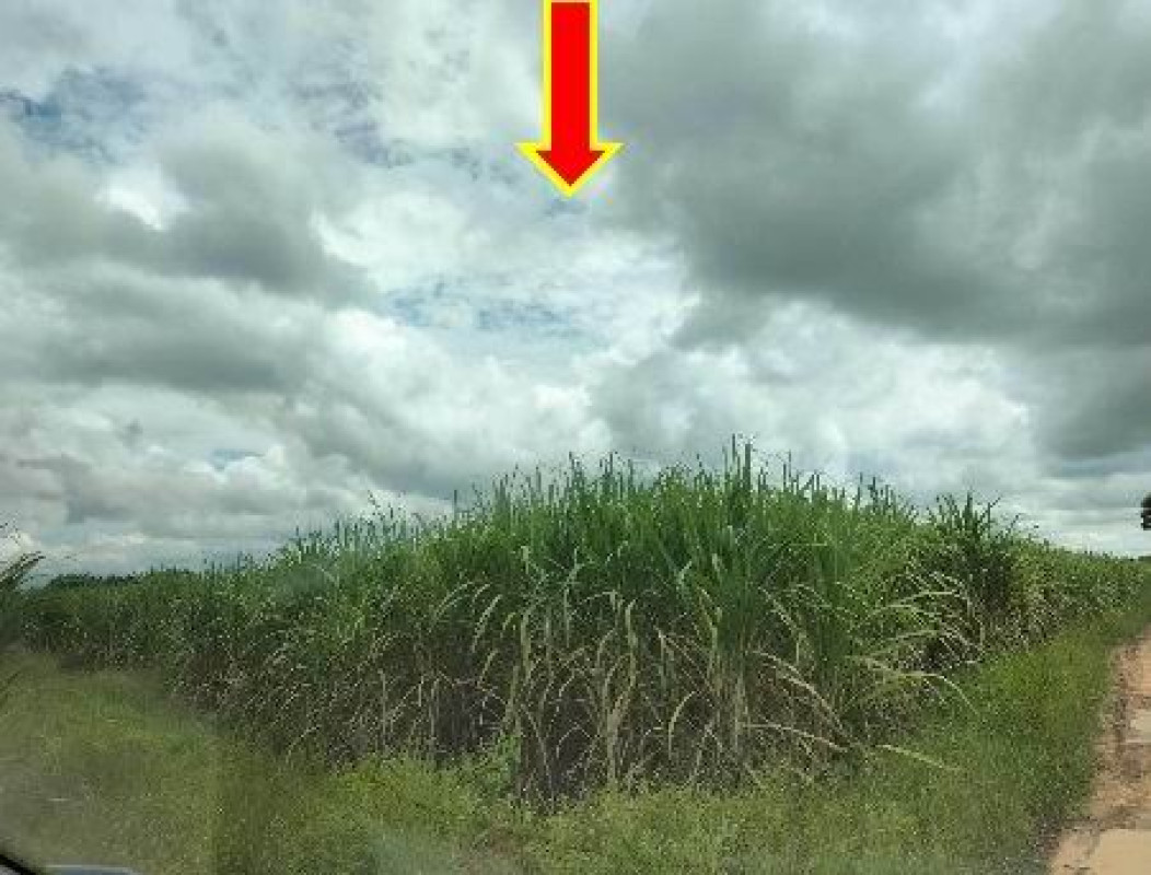 ที่ดินเปล่า ขอนแก่น เขาสวนกวาง ดงเมืองแอม 120000