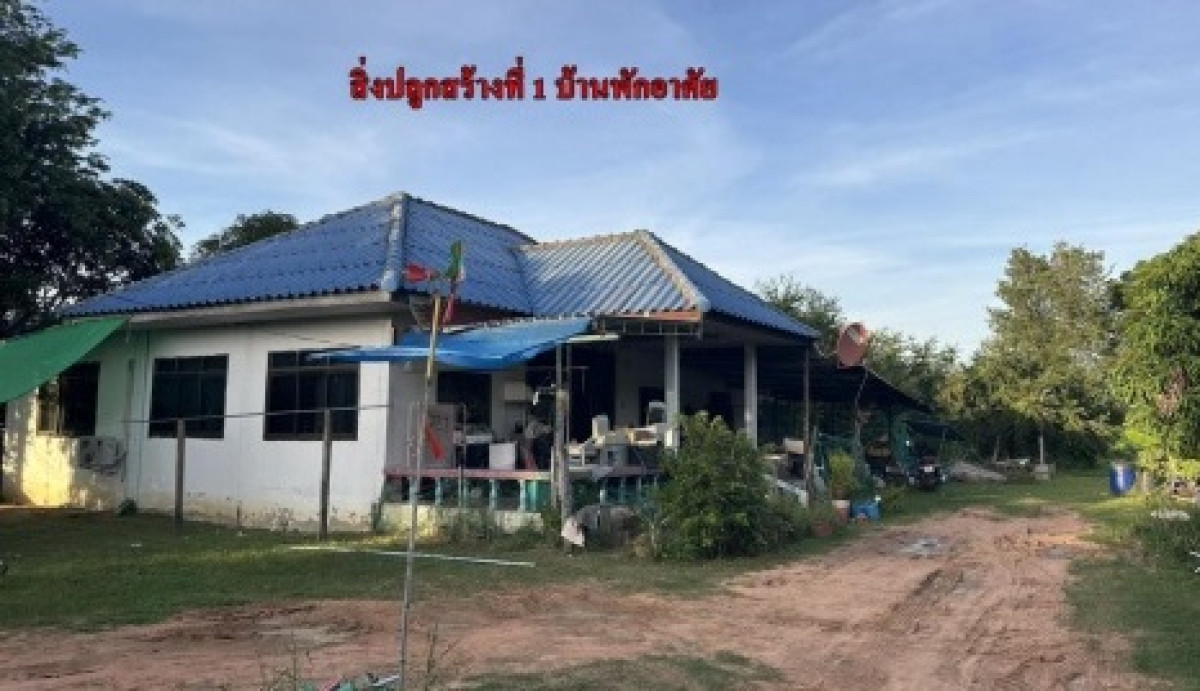 บ้านเดี่ยว นครราชสีมา บัวใหญ่ ด่านช้าง 898648