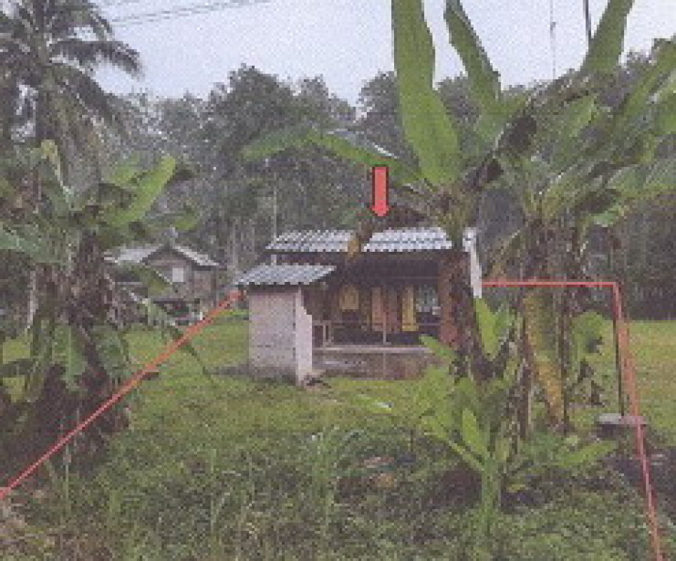 บ้านเดี่ยว ตรัง ห้วยยอด หนองช้างแล่น 206640