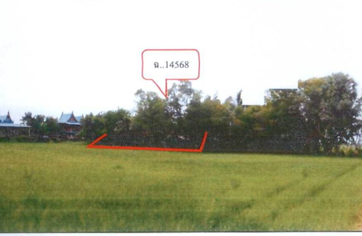 ที่ดินเปล่า เพชรบุรี เมืองเพชรบุรี ช่องสะแก 137600