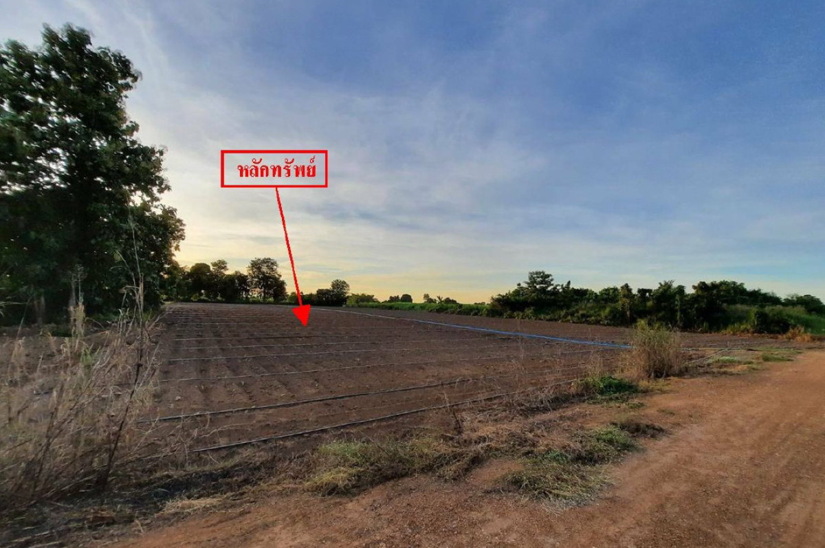 ที่ดินเปล่า สุโขทัย สวรรคโลก นาทุ่ง 0