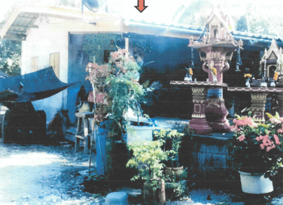 บ้านเดี่ยว นครศรีธรรมราช ปากพนัง ชะเมา 238480