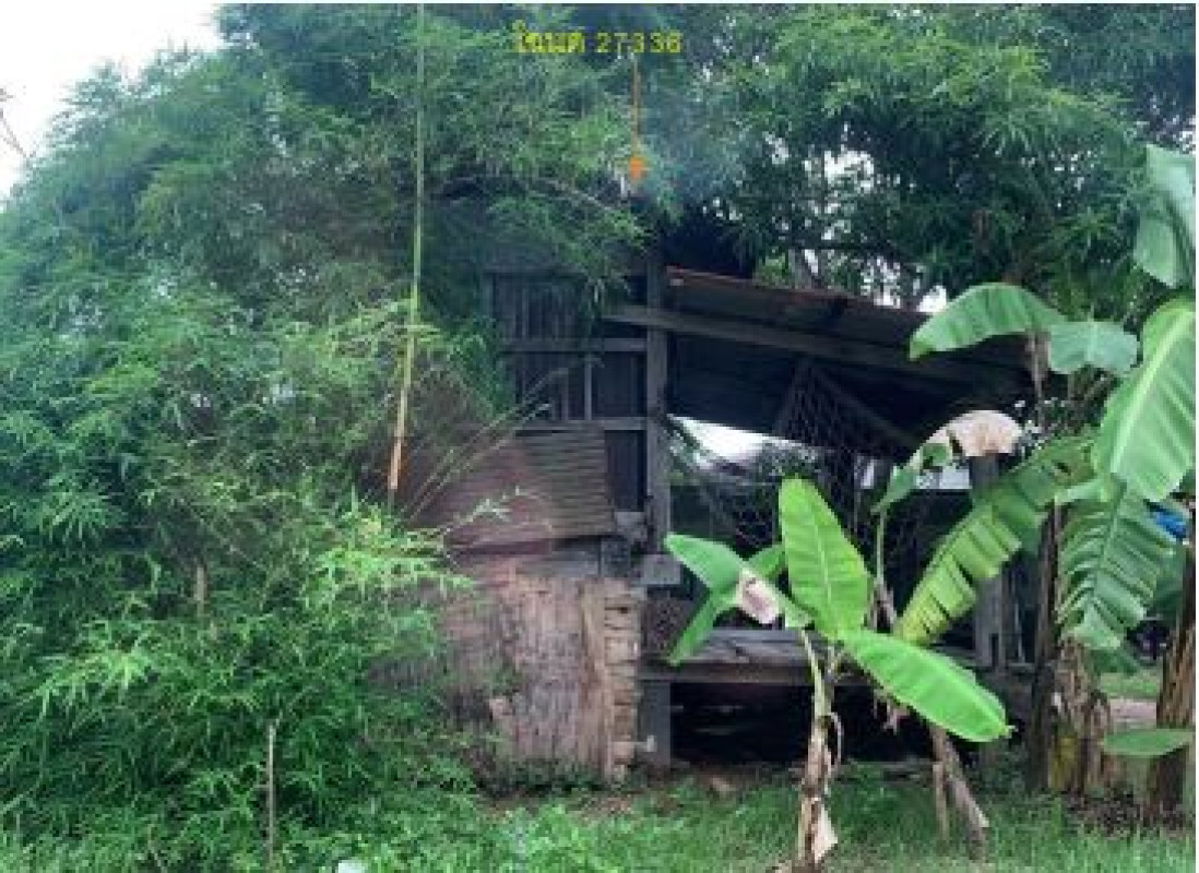 บ้านเดี่ยว ขอนแก่น กระนวน หนองโน 67920