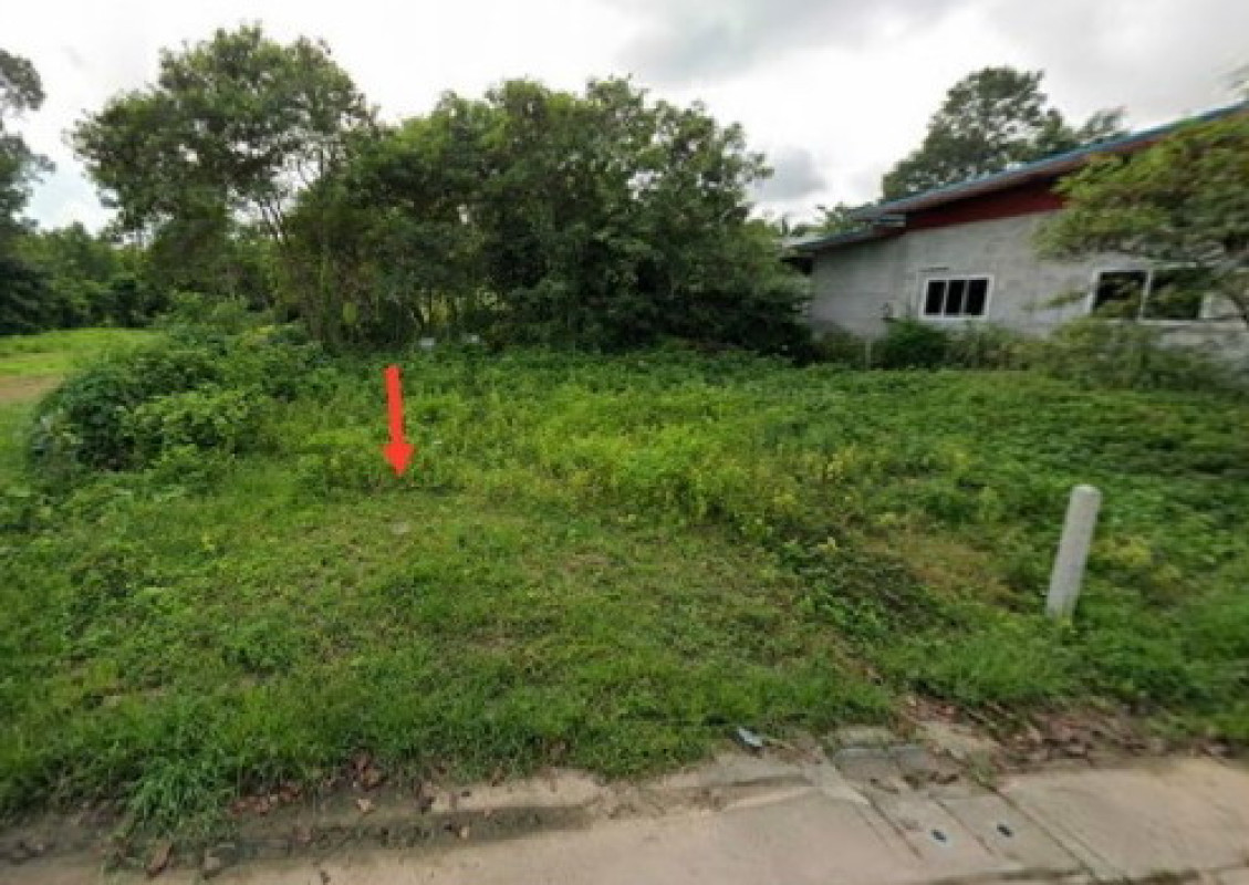 Residential land/lot Buri Ram Ban Dan Ban Dan 61710