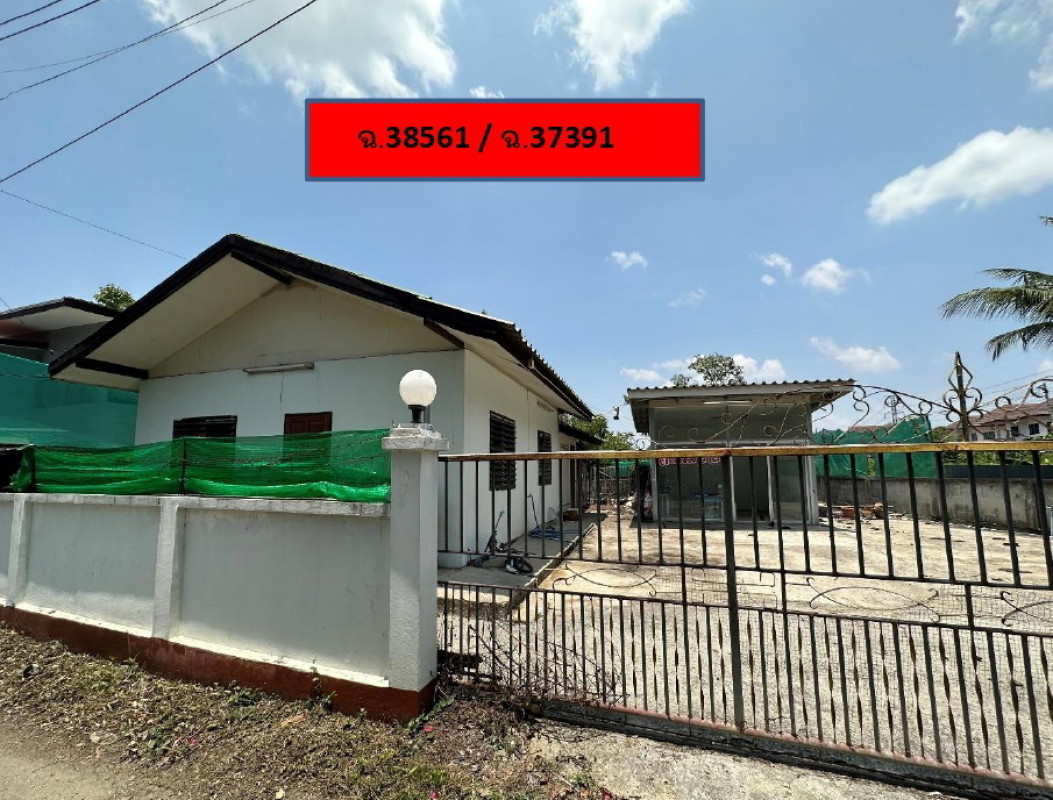 บ้านเดี่ยว เชียงใหม่ สารภี หนองผึ้ง 1550208