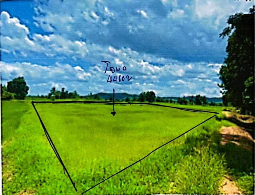 ที่ดินเปล่า สุโขทัย ศรีสัชนาลัย ป่างิ้ว 0