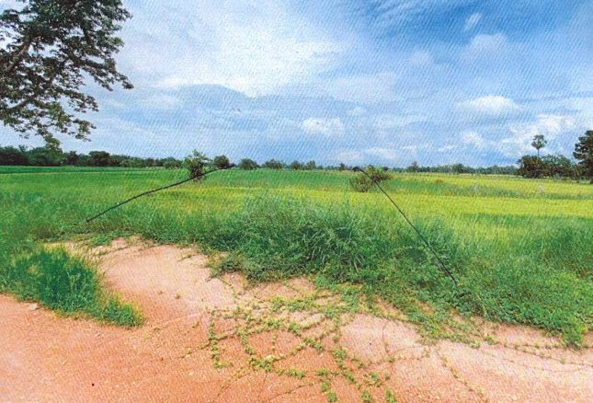 Residential land/lot Sukhothai Mueang Sukhothai Ban Kluai 320999