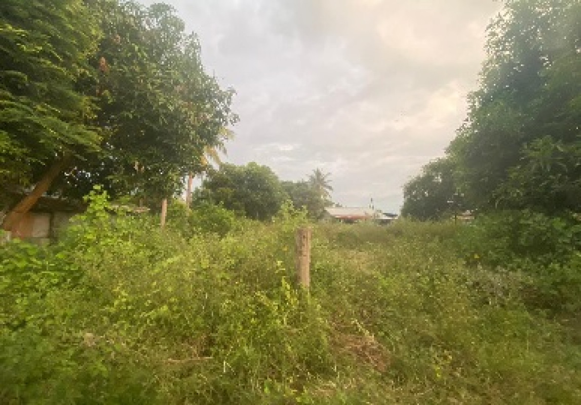 ที่ดินเปล่า ขอนแก่น บ้านฝาง ป่ามะนาว 116100