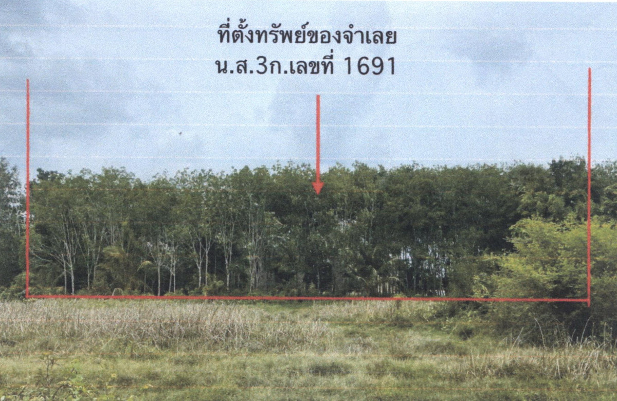 ที่ดินเปล่า สงขลา นาทวี นาทวี 273000