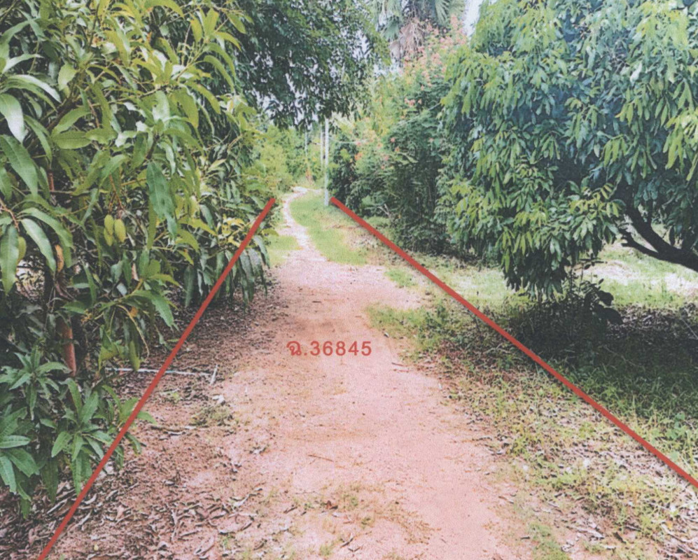 ที่ดินเปล่า เชียงใหม่ สันทราย ป่าไผ่ 28500