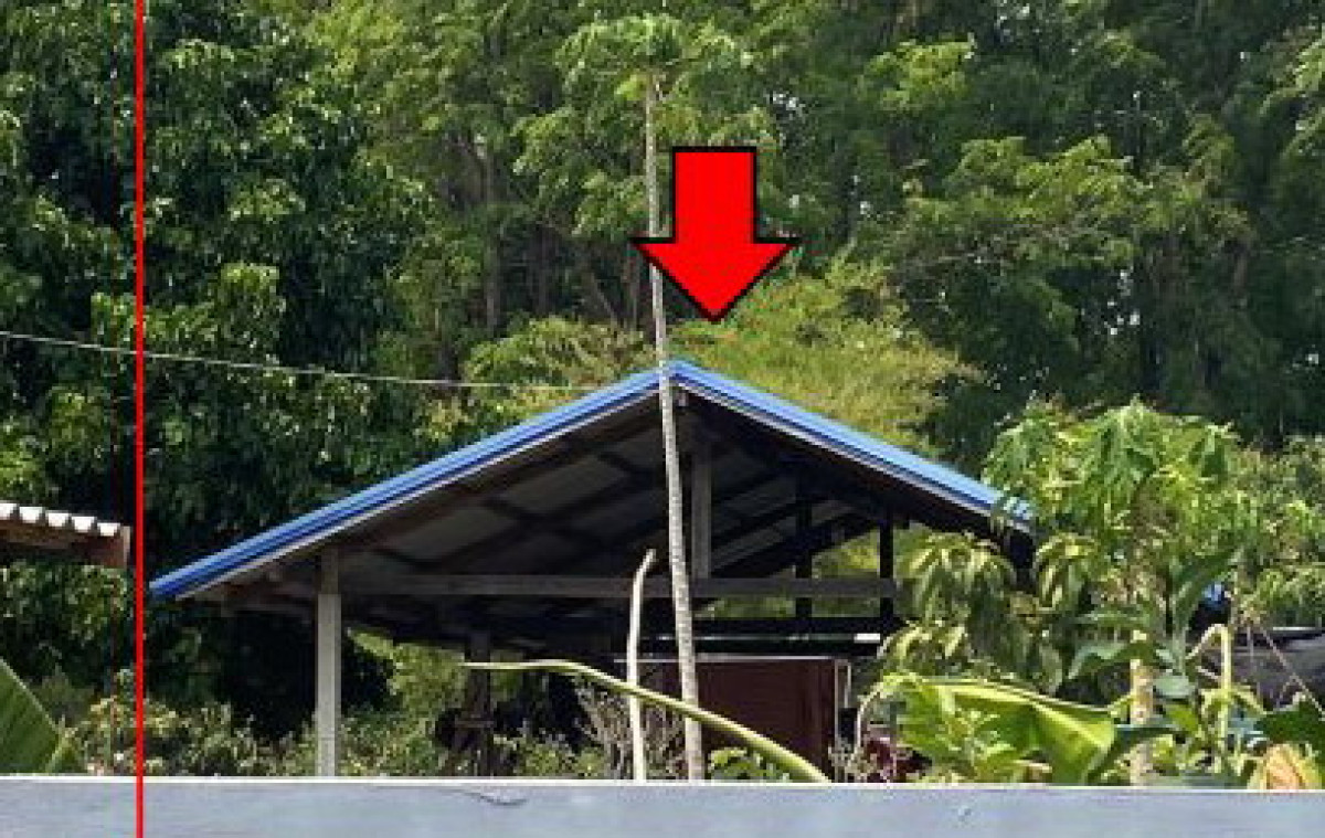บ้านเดี่ยว ขอนแก่น น้ำพอง บัวเงิน 92000