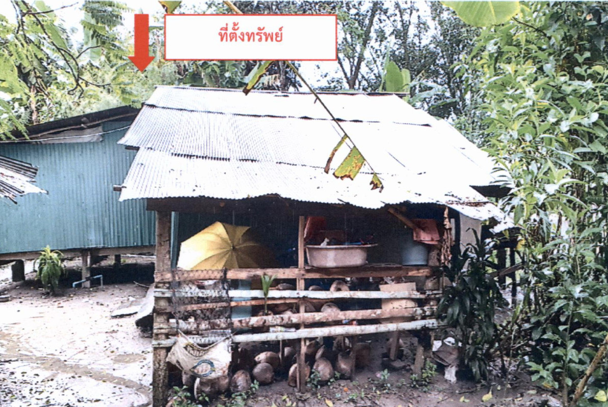 บ้านเดี่ยว สงขลา จะนะ สะพานไม้แก่น 255440