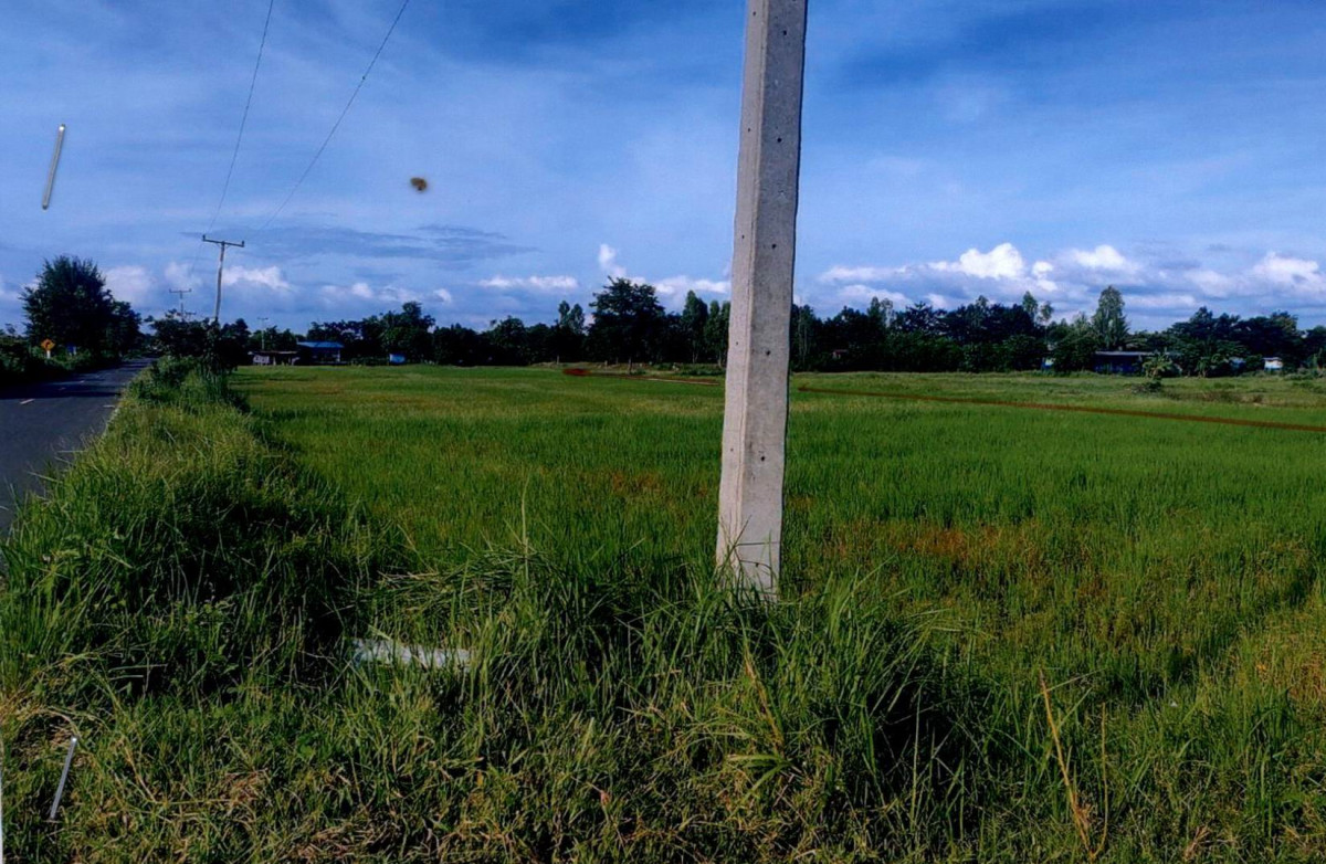 ที่ดินเปล่า บุรีรัมย์ คูเมือง พรสำราญ 463125