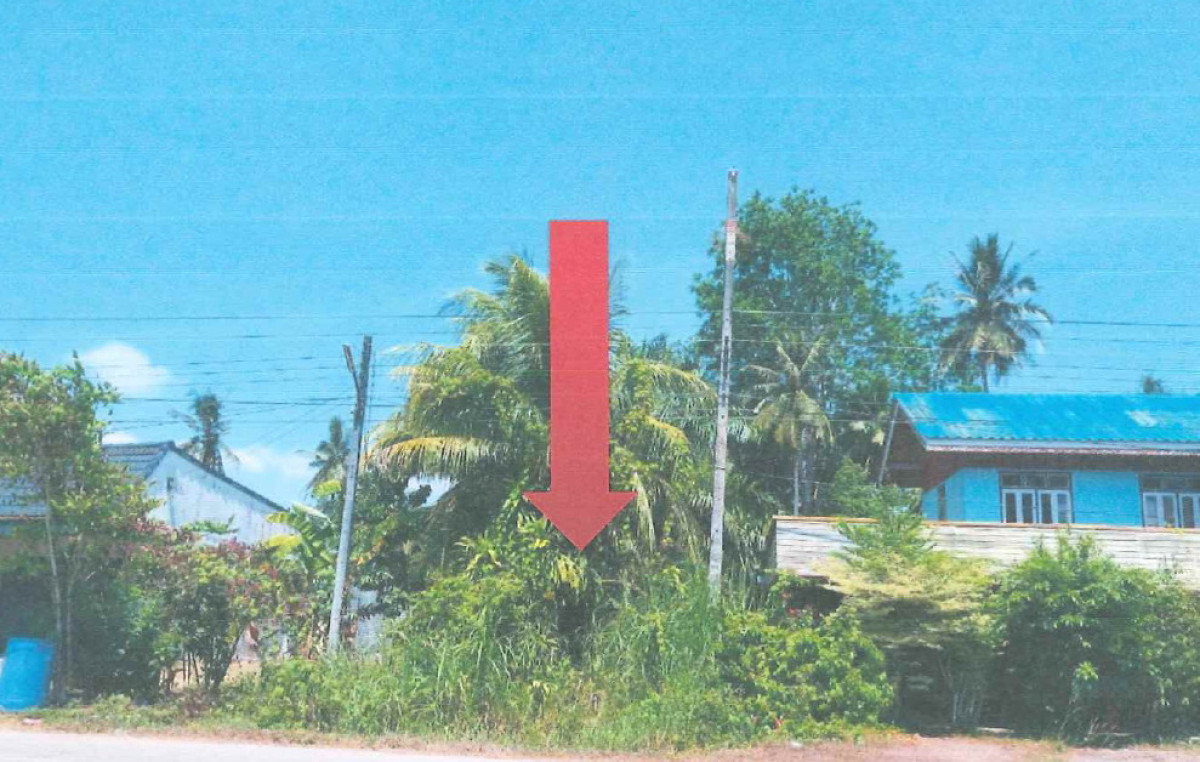 ที่ดินเปล่า ตรัง เมืองตรัง นาโต๊ะหมิง 390000