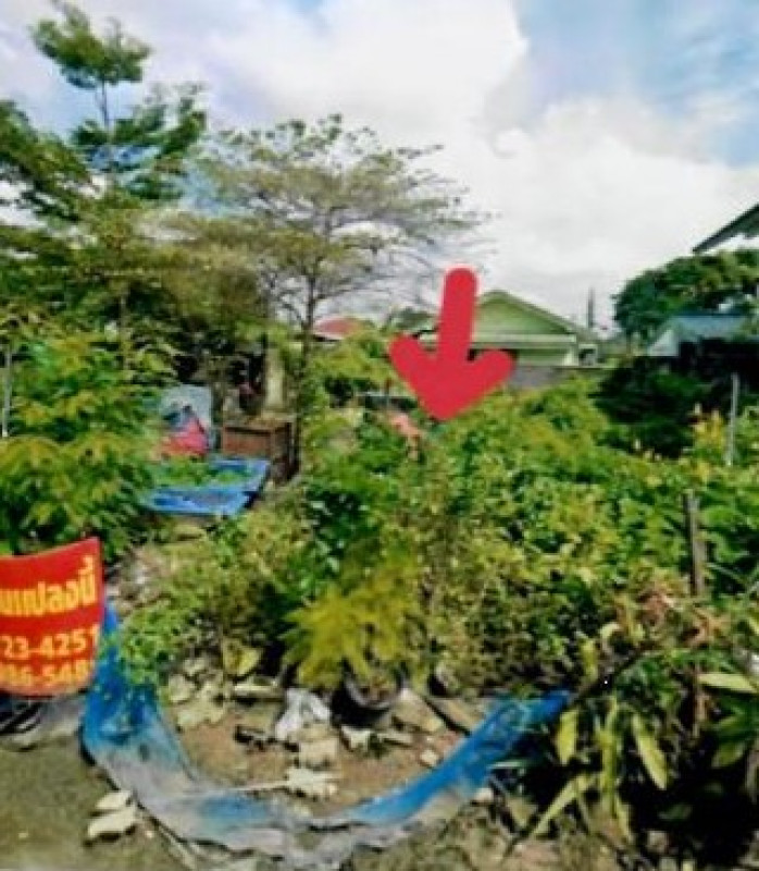 ที่ดินเปล่า กรุงเทพมหานคร ตลิ่งชัน บางระมาด 1200000