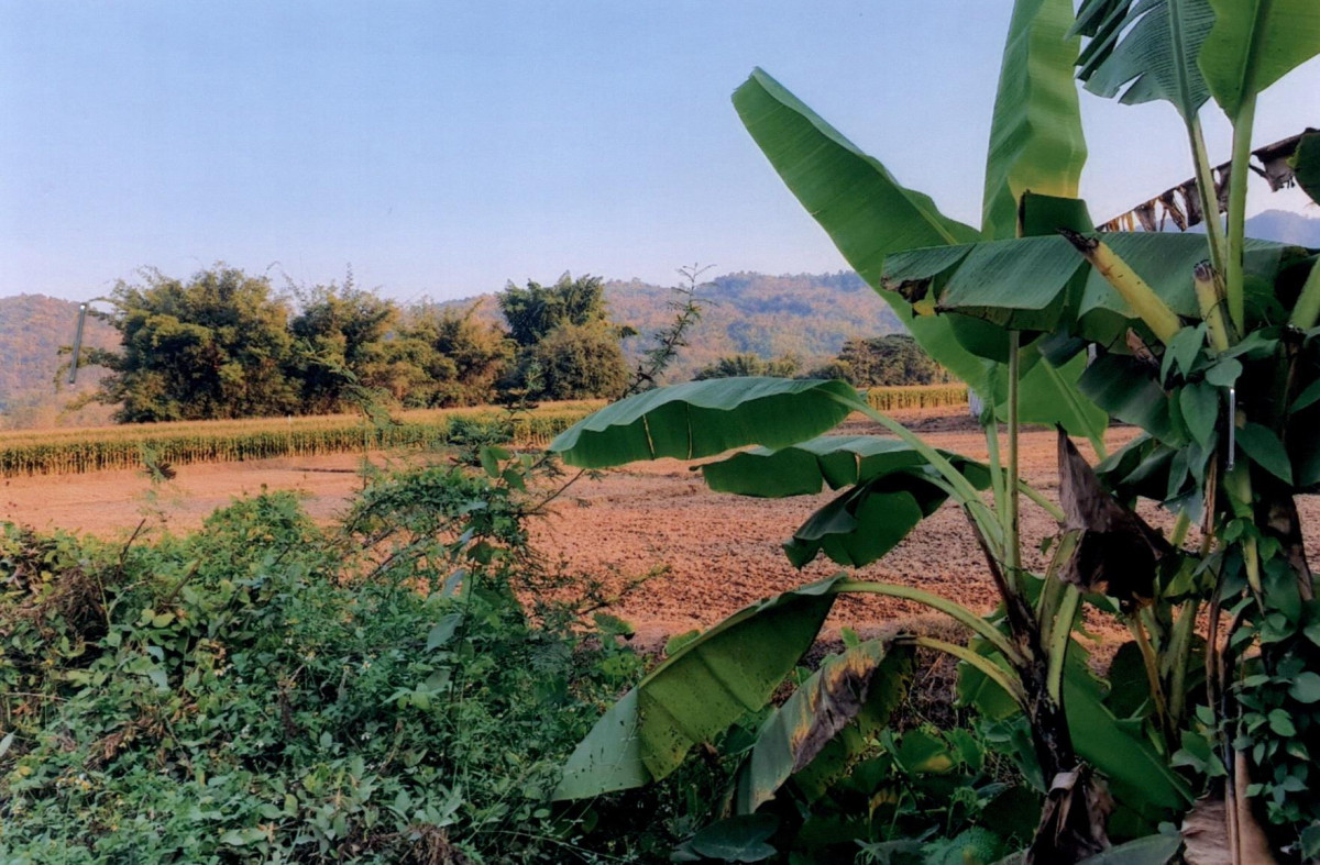 Residential land/lot Lampang Ngao Mae Tip 115850