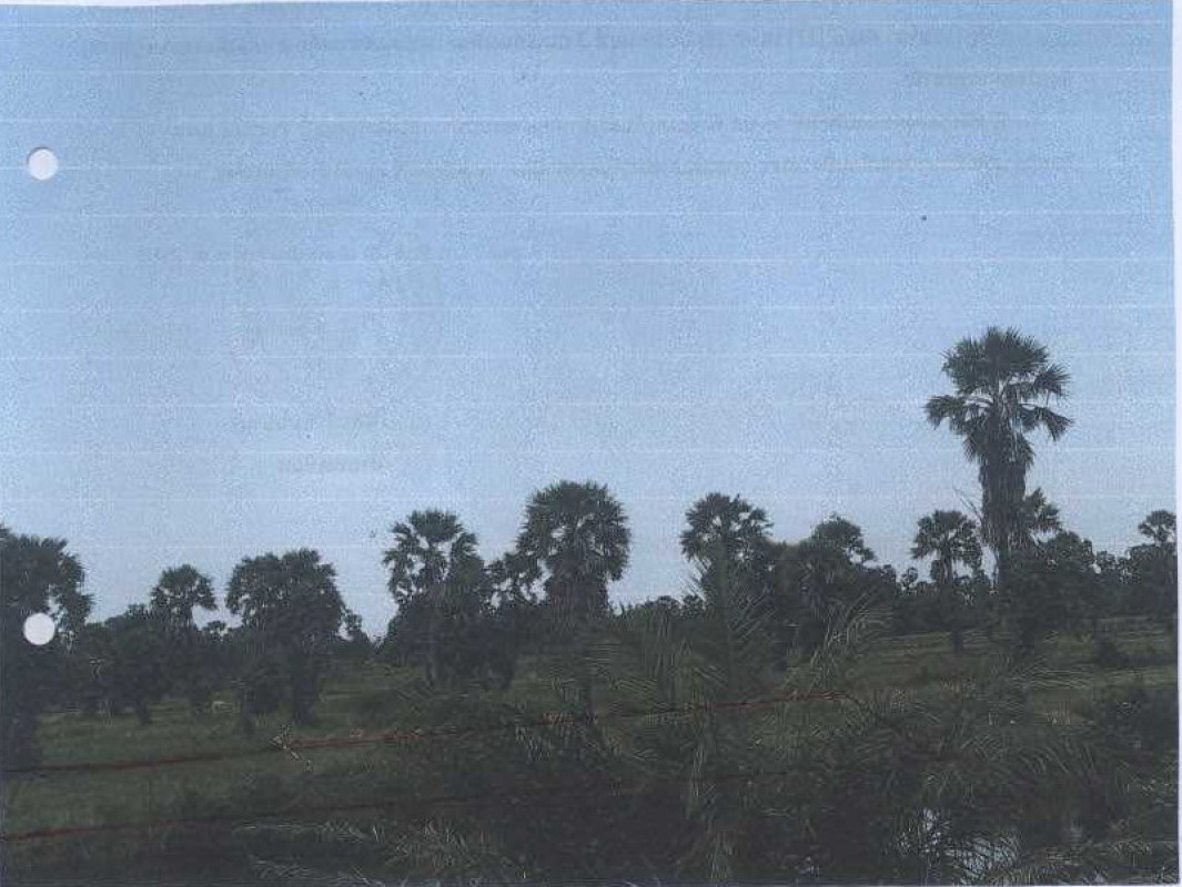 ที่ดินเปล่า เพชรบุรี เมืองเพชรบุรี ดอนยาง 175750