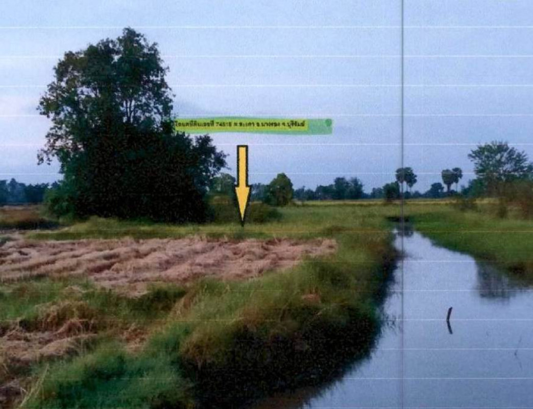ที่ดินเปล่า บุรีรัมย์ นางรอง หนองไทร 29400