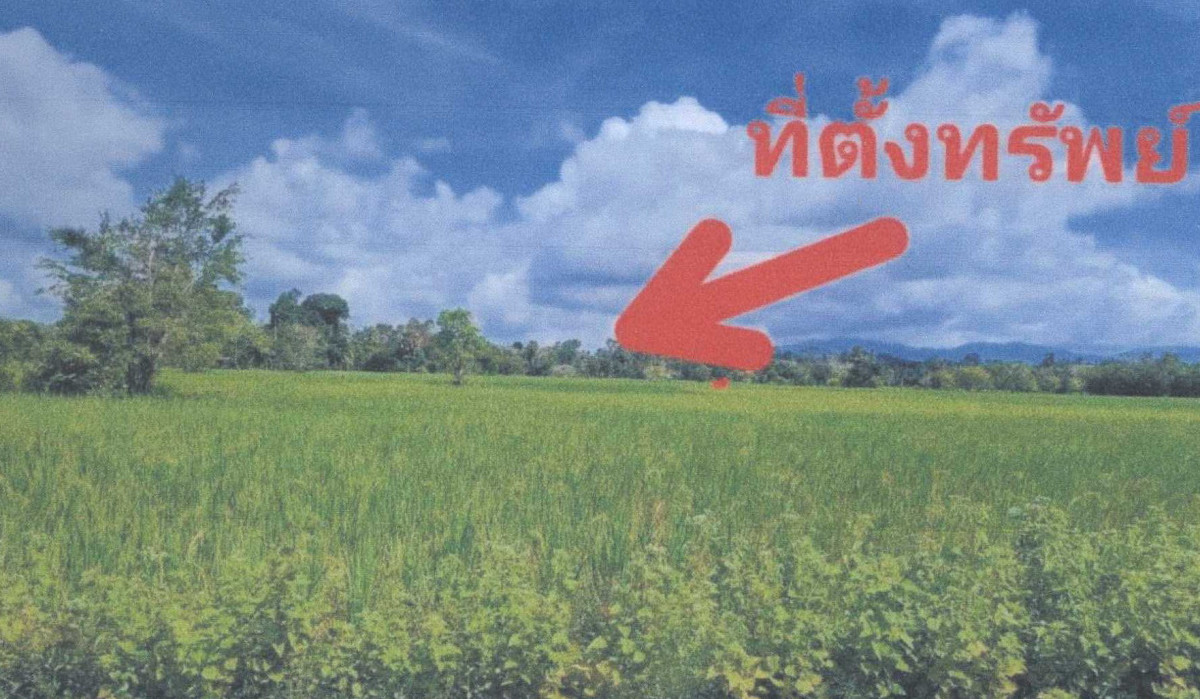 ที่ดินเปล่า ปัตตานี ทุ่งยางแดง ปากู 38610