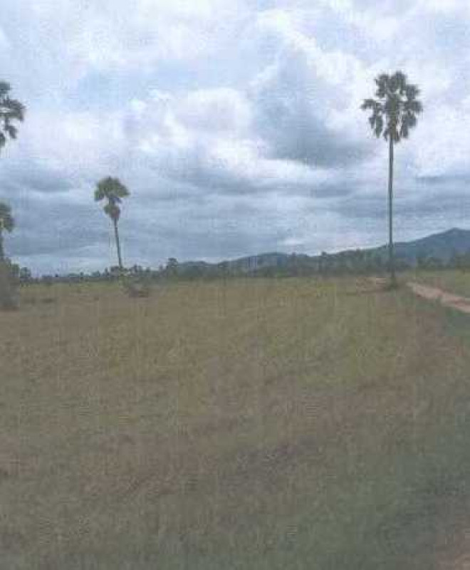 ที่ดินเปล่า เพชรบุรี บ้านลาด ไร่สะท้อน 163200
