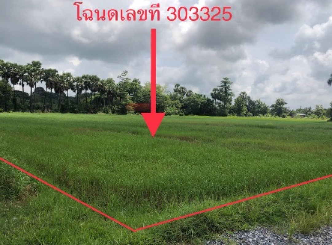 ที่ดินเปล่า ขอนแก่น เมืองขอนแก่น สำราญ 420000