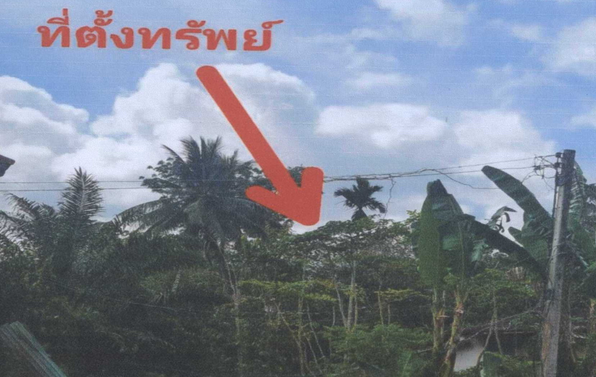 ที่ดินเปล่า ปัตตานี ทุ่งยางแดง ปากู 29574