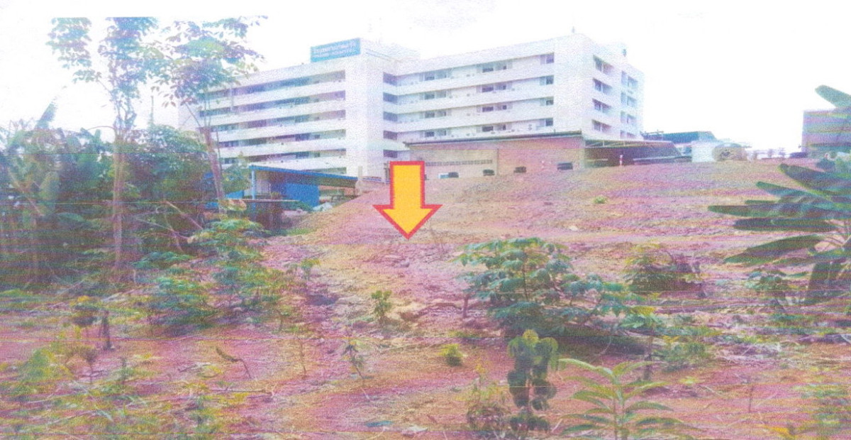 Residential land/lot Trang Mueang Trang Thap Thiang 137400