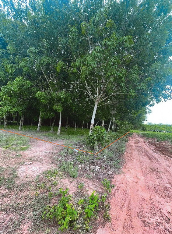 ที่ดินเปล่า ปราจีนบุรี นาดี แก่งดินสอ 4769600