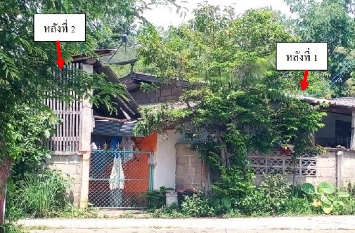 บ้านเดี่ยว พะเยา เชียงคำ เวียง 266760