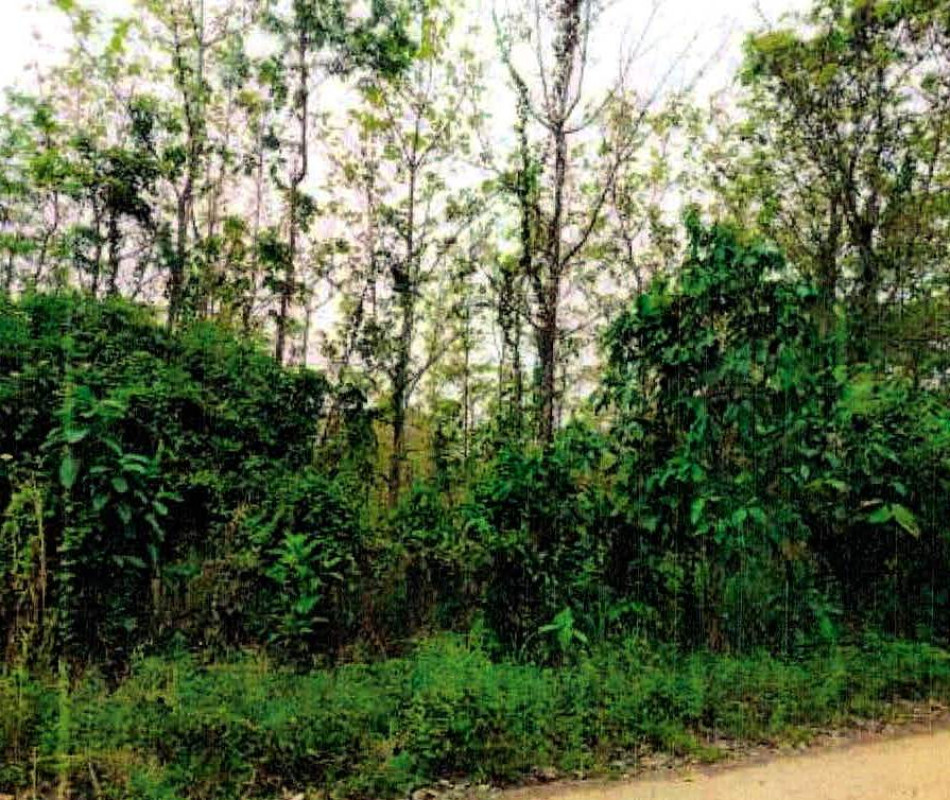 Residential land/lot Lampang Mueang Lampang Ban Ueam 280194