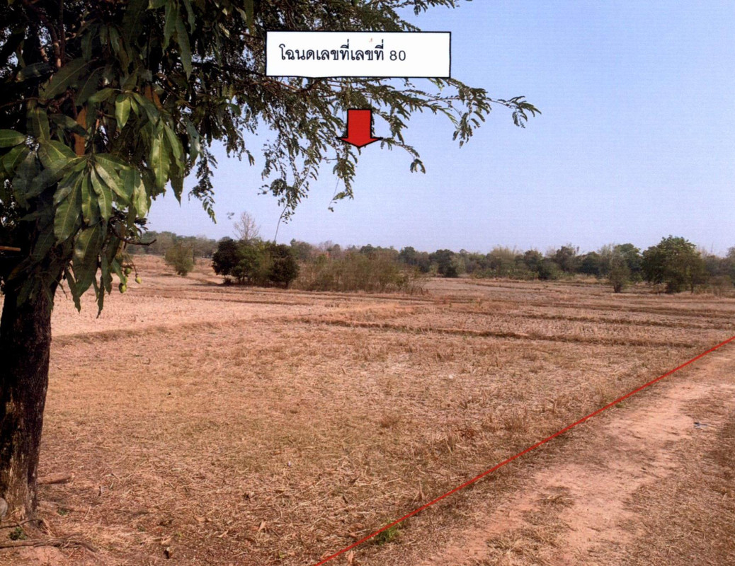 ที่ดินเปล่า อุบลราชธานี นาตาล พะลาน 209781