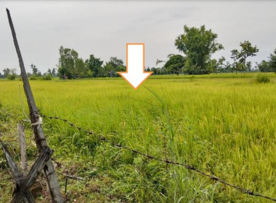 ที่ดินเปล่า อุบลราชธานี บุณฑริก นาโพธิ์ 370240